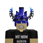 roadtoglobal1122 Roblox avatar