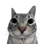 Makau Roblox avatar