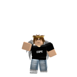 notTossable Roblox avatar