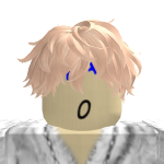 IBFlyinn Roblox avatar